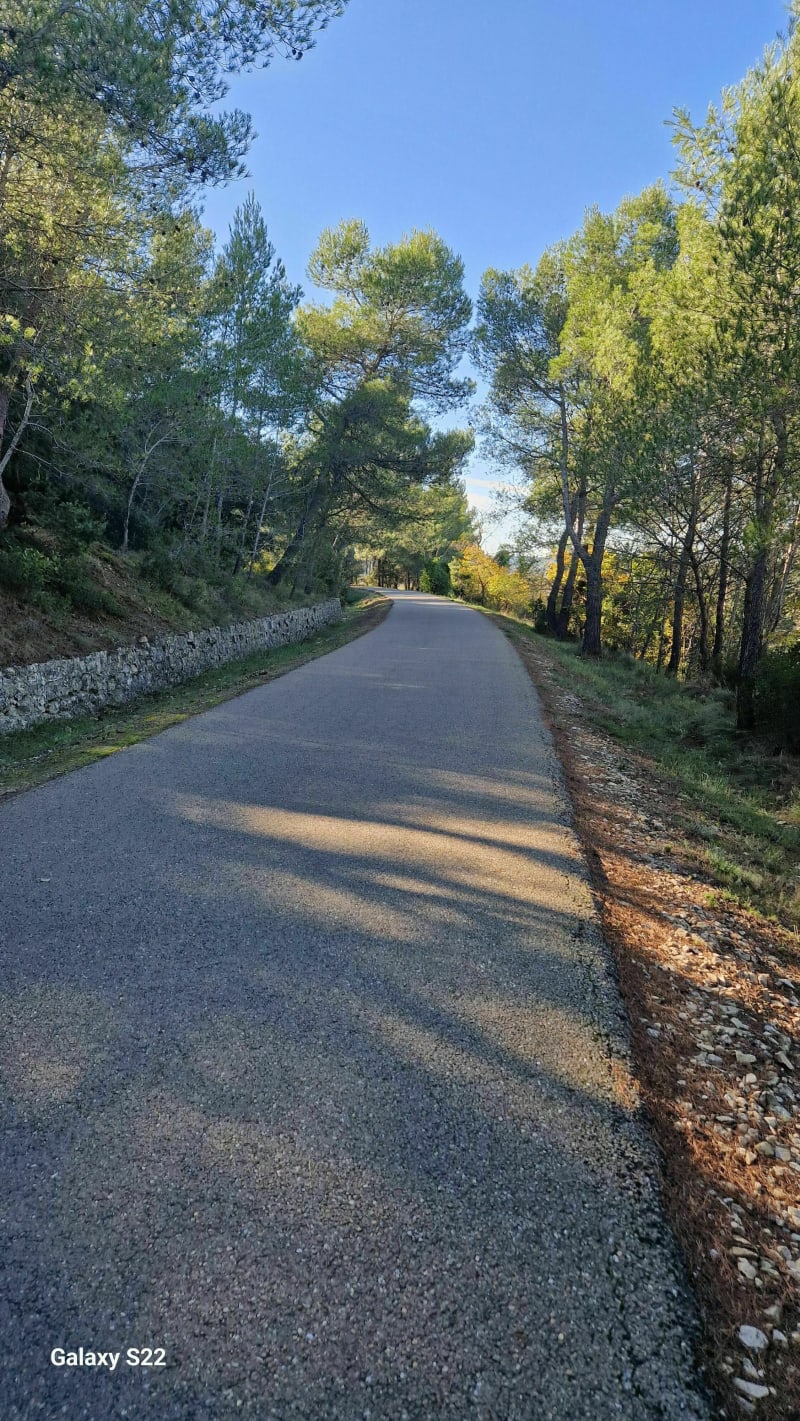 Marche à Langlade - Langlade