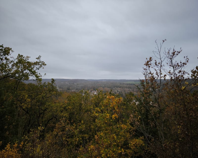 Boucle au Plateau de la Justice - Guigneville-sur-Essonne