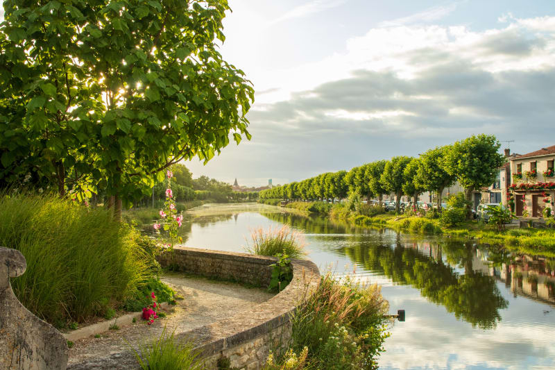 De Saujon et ses rives de la Seudre à l'Abbaye de Sablonceaux - Saujon