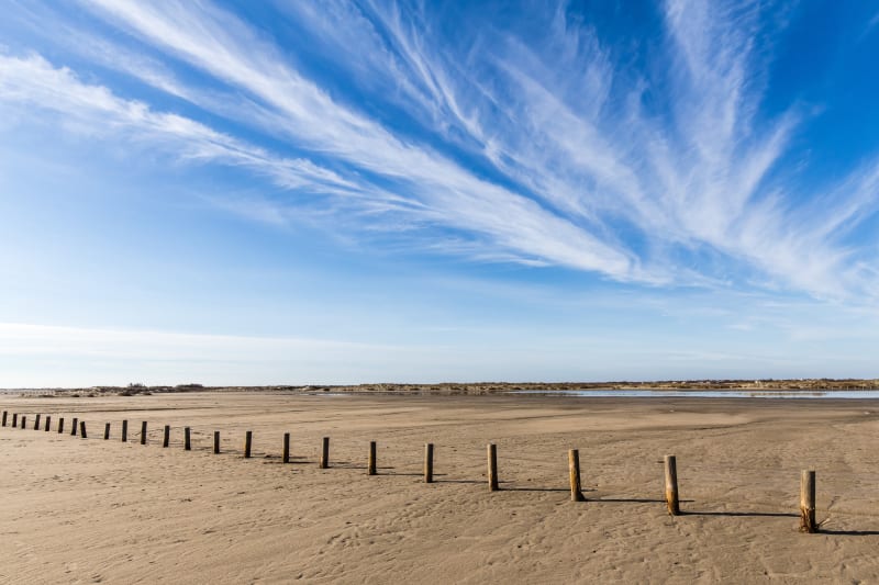 Napoleon Beach en They de la Gracieuse - Port-Saint-Louis-du-Rhône