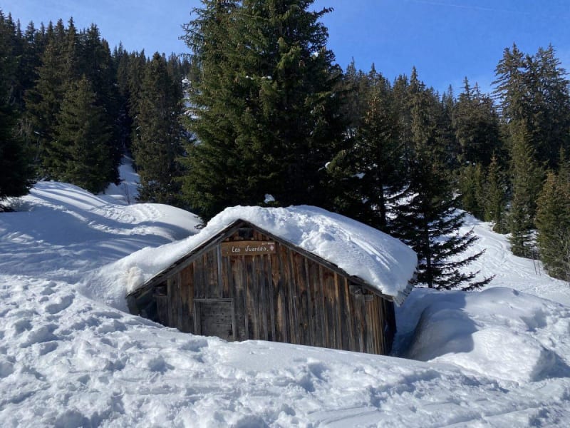 Sneeuwschoenen - Les Vuardes - Nancy-sur-Cluses