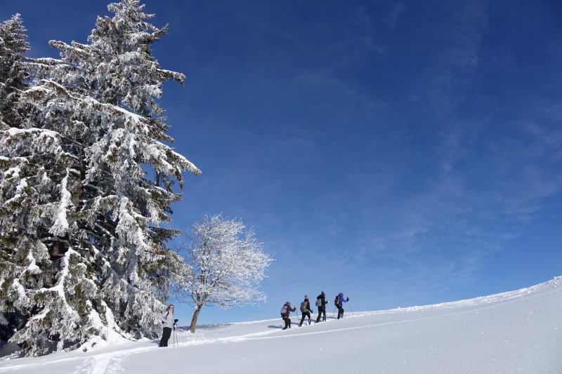 Sneeuwschoenen - La Bordaz - Saint-Sigismond