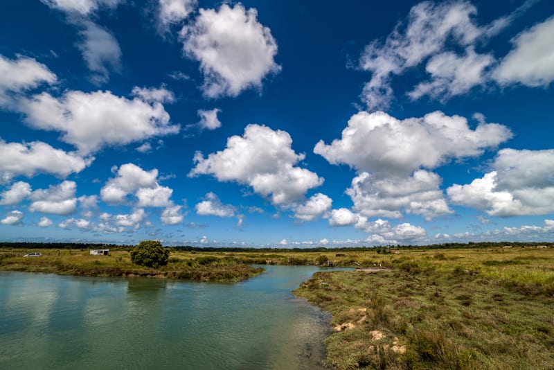Promenade à vélo dans les marais de Saint-Pierre-d'Oléron - Saint-Pierre-d'Oléron