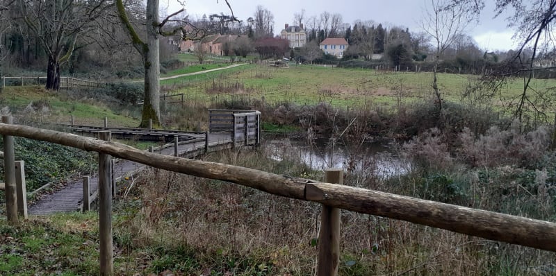 Balade en forêt entre Jouy le Moutier - Jouy-le-Moutier