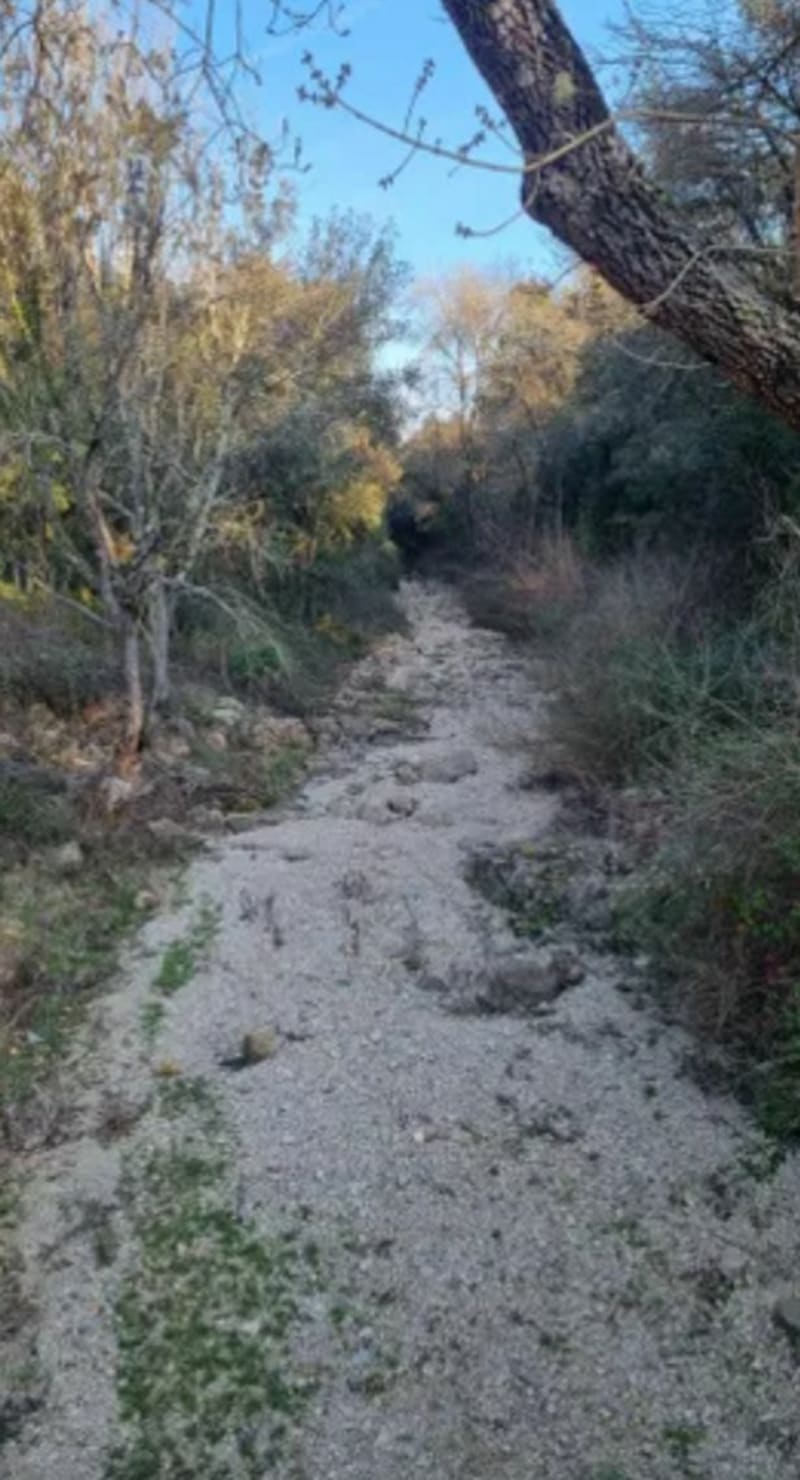 Valbonne:le val du Bruguet - Valbonne
