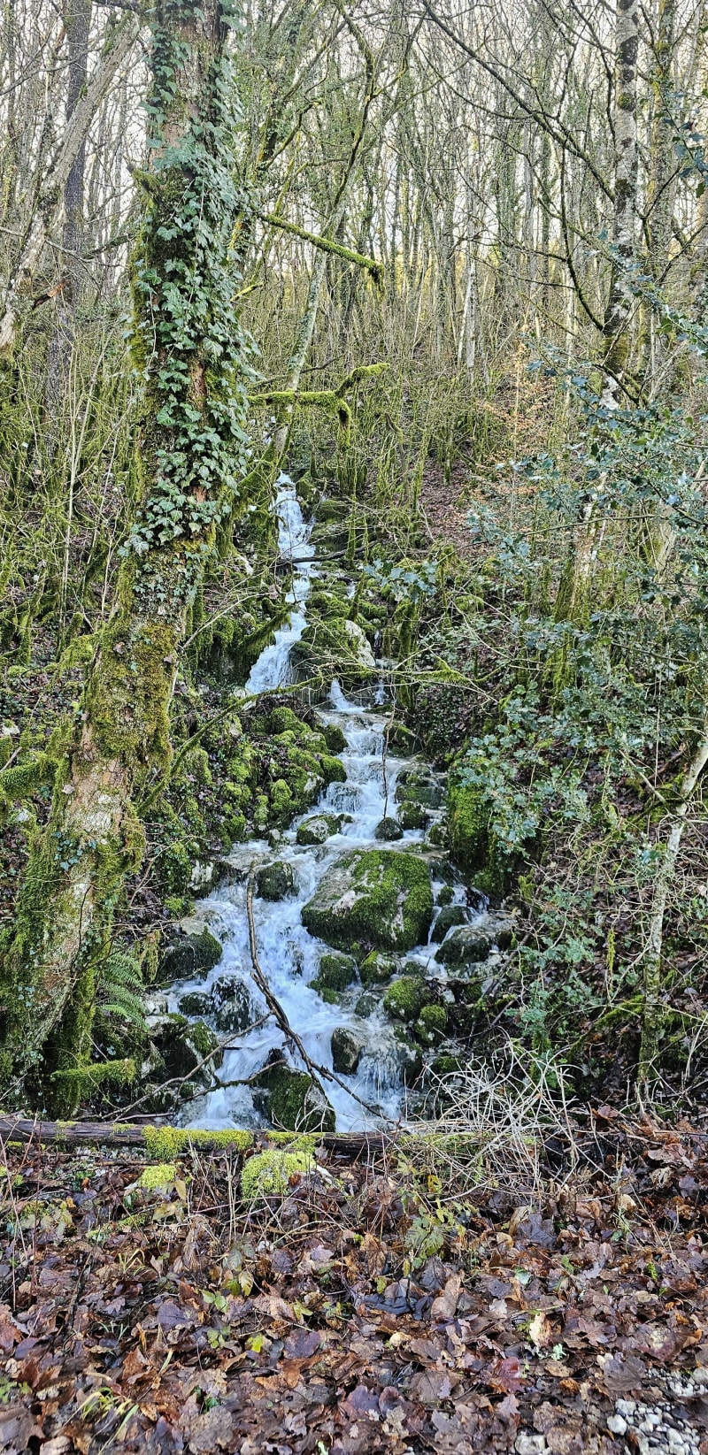 Sortie en  chemin à Seyssel - Seyssel