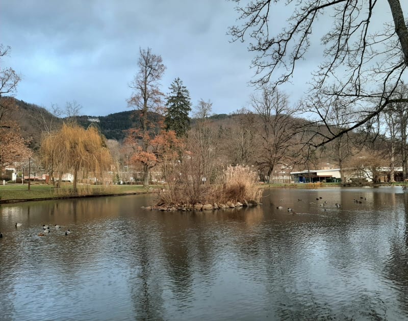 Boucle autour de Munster - Wihr-au-Val