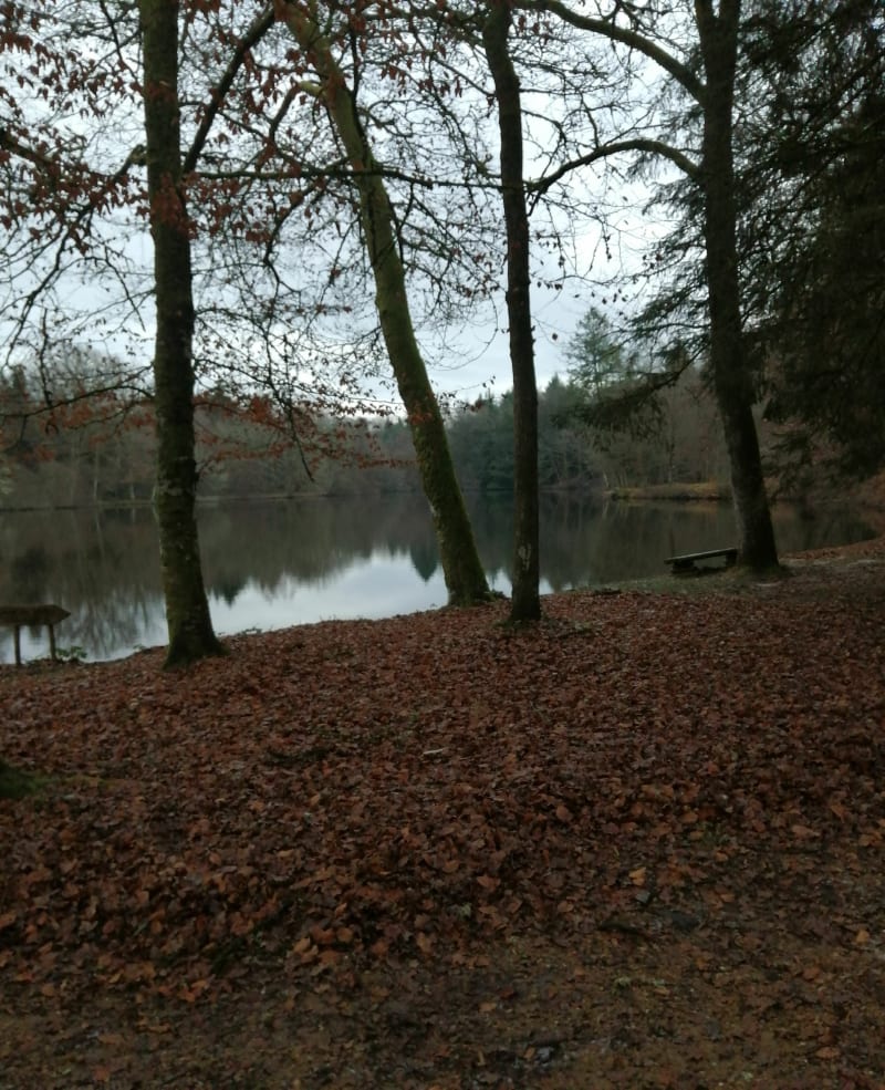 Feytiat le petit Crouzeix - Feytiat