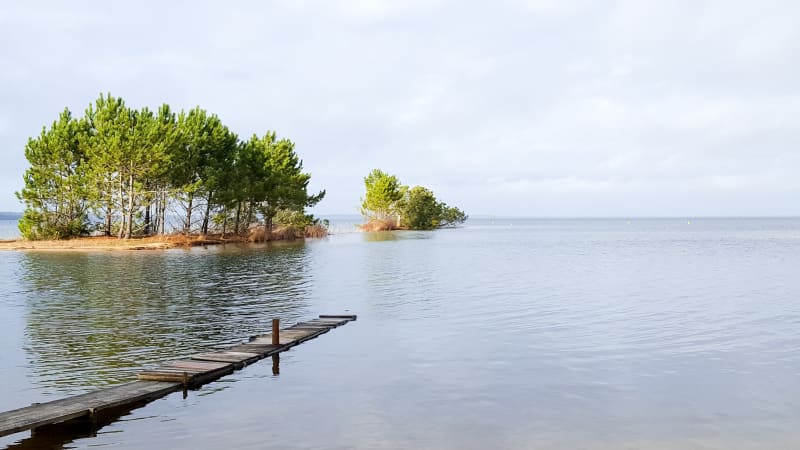 A vélo depuis Biscarrosse par Navarosse et Maguide - Biscarrosse