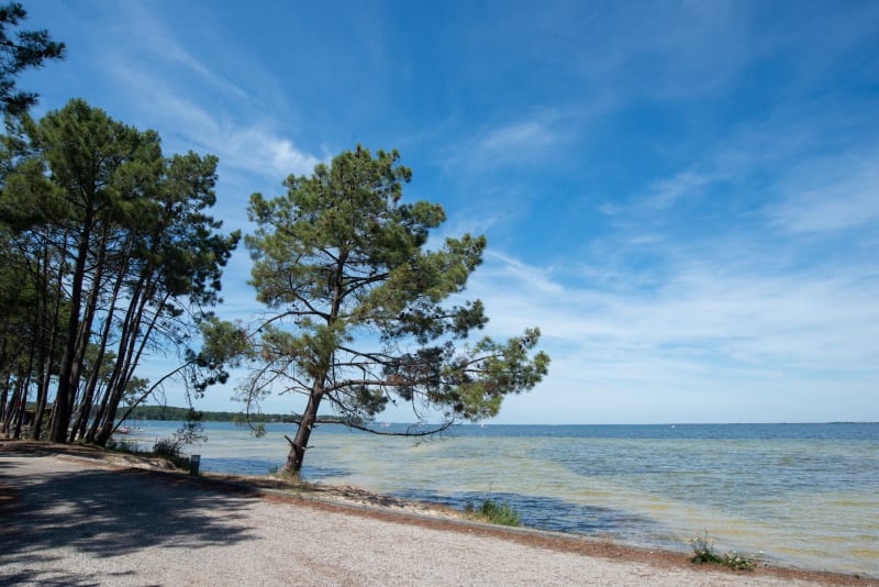 Tour complet du Lac d'Hourtin - Carcans