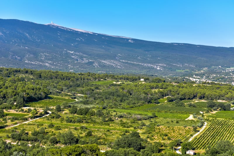 Bédoin à VTT par les Trois Termes, Caromb et Crillon - Bédoin