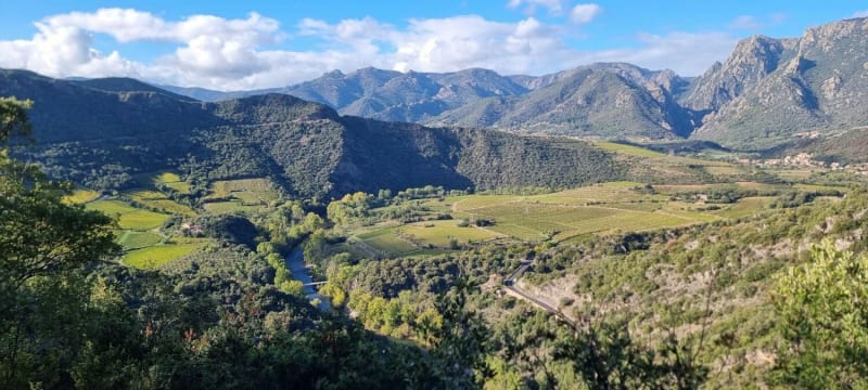 Les arches de Gruissan - Gruissan