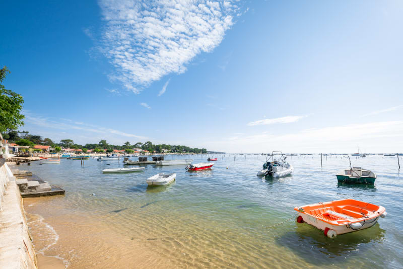 D'iode et de pin au Canon - Lège-Cap-Ferret