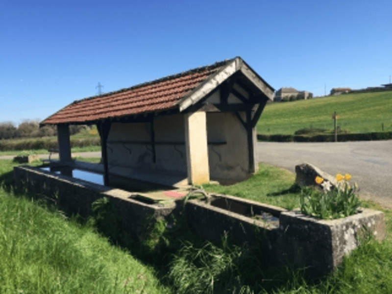 Tournus-Plottes par la Cabane des Amours - Tournus