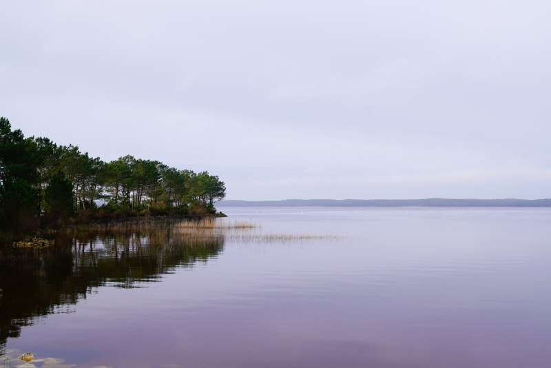 Biscarosse et l'Etang de Cazaux à vélo - Biscarrosse