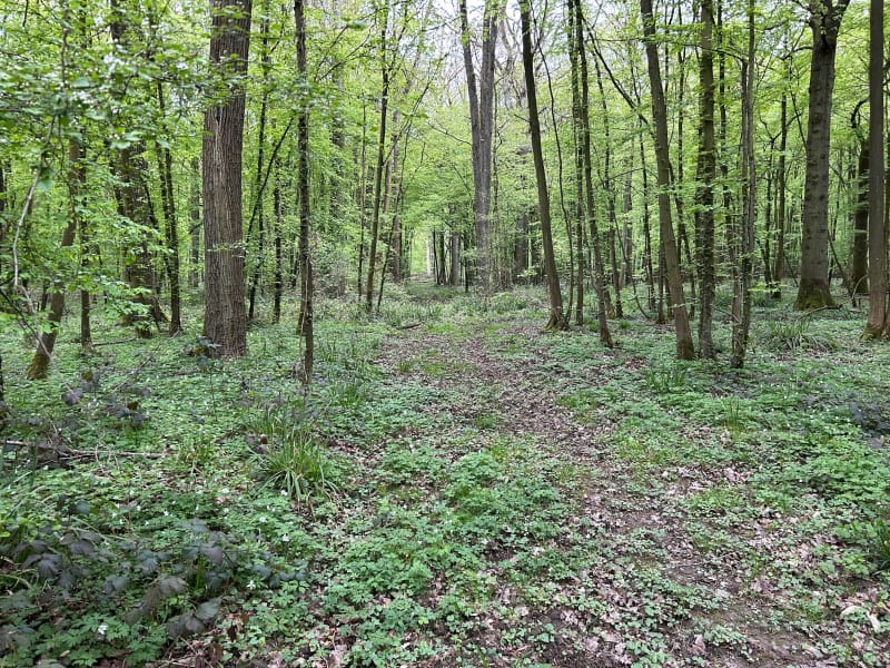 La Motte au Bois 13 kilomètres - Morbecque