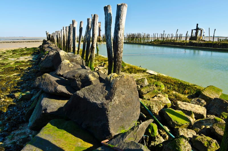 Exploration du Marais Breton Vendéen depuis Fromentine - La Barre-de-Monts