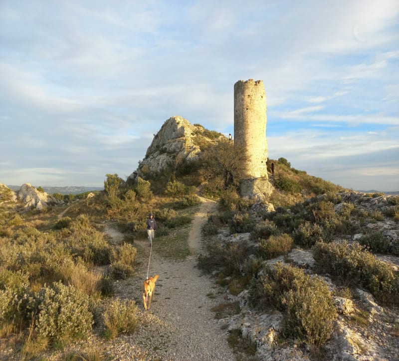 Les tours de Castillon - Paradou