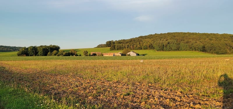 Balade autour de Montmachoux - Montmachoux