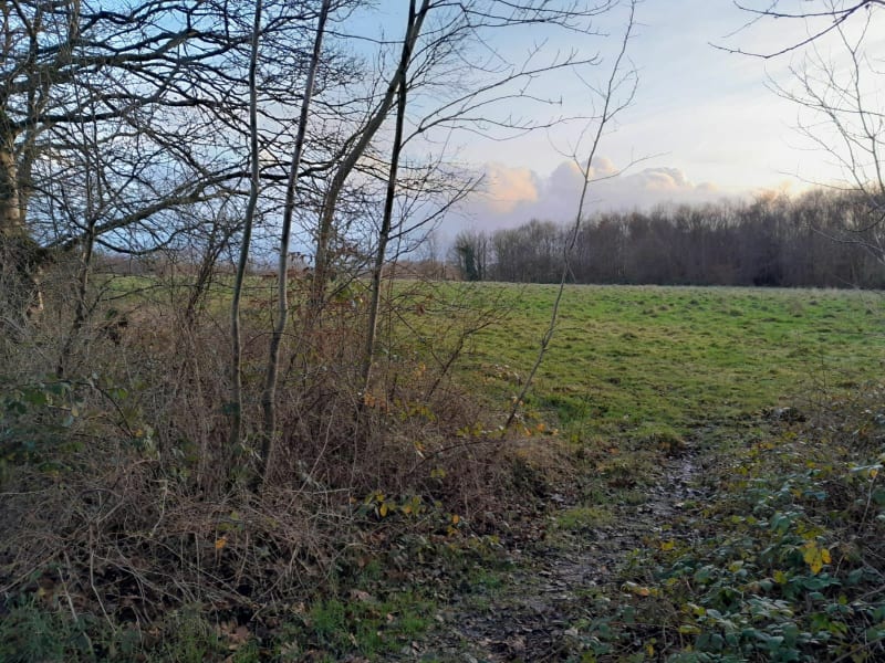 Marche rapide en lisière de forêt du Trait-Maulévrier, depuis La Boulevue - Sainte-Marguerite-sur-Duclair
