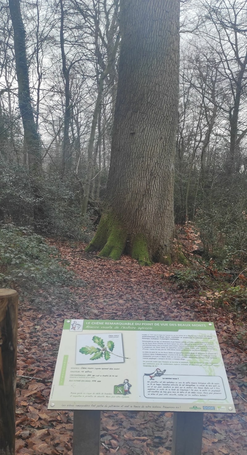 Balade de Jaux au  belvédère Beaumont - Jaux