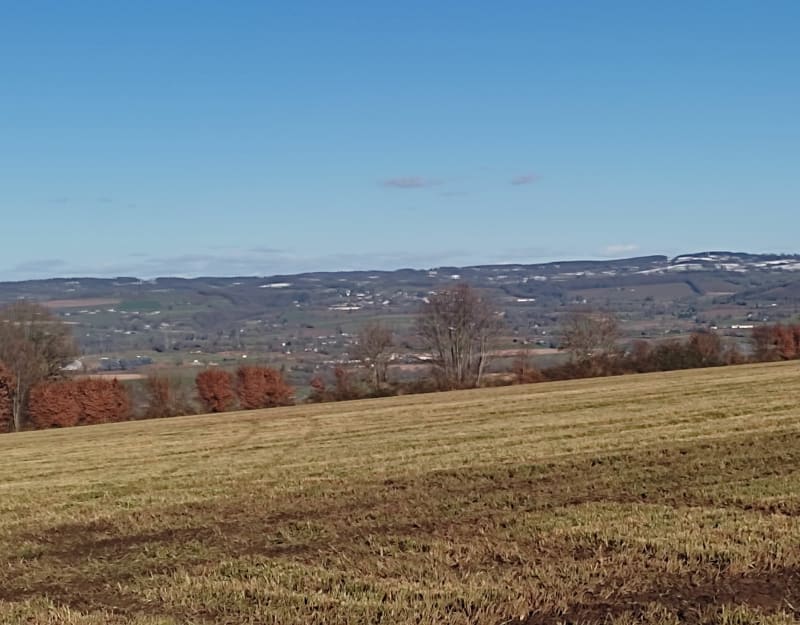 Balade en forêt de Reffuveille - Reffuveille