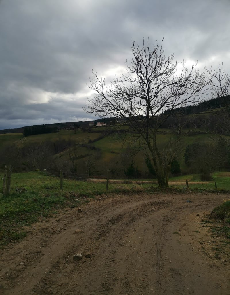 Autour de Chenereilles depuis Uliecq, par Charbonnières - Chenereilles
