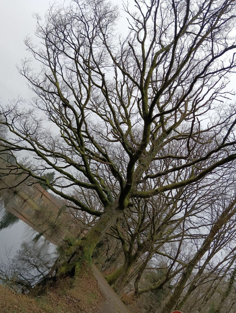 Entre Haute Vienne et Charente - Saint-Brice-sur-Vienne