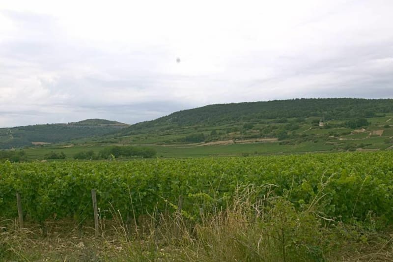 Boucle Entre Saône et Loire et Côte d'or - Crissey