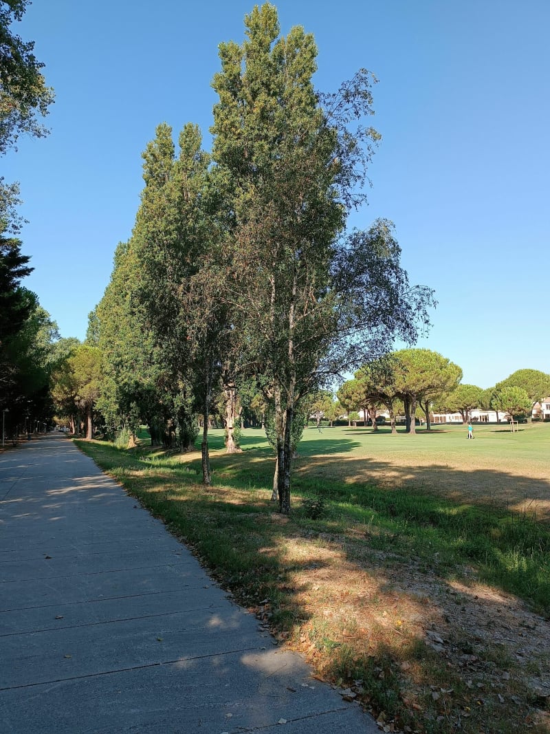 Balade du Grau-du-Roi, par la Pinède du Boucanet et la Grande Motte - Le Grau-du-Roi