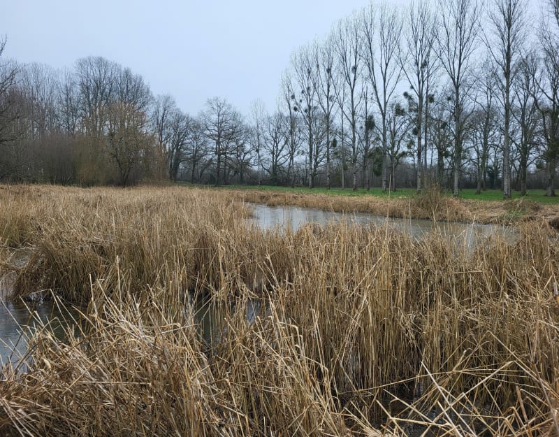 Étangs Aubigny-sur-Nère - Aubigny-sur-Nère
