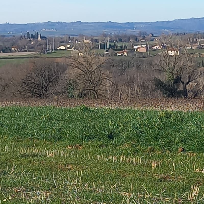 Par la lande de Lunaget et Le Ber - Pampelonne