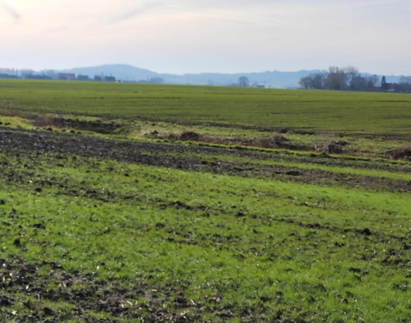 De Wormhout à Oudezeele - Wormhout