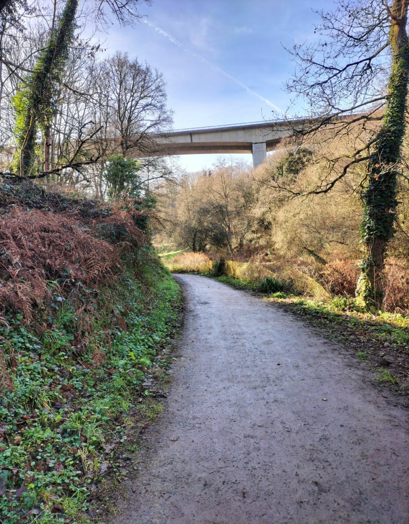 Balade du dimanche à Cesson - Saint-Brieuc