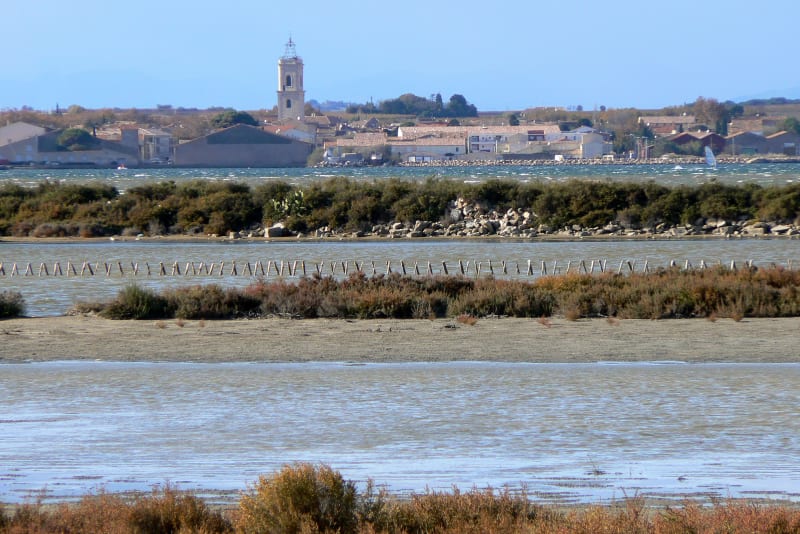 Boucle de Marseillan, entre plage et étang de Thau - Marseillan
