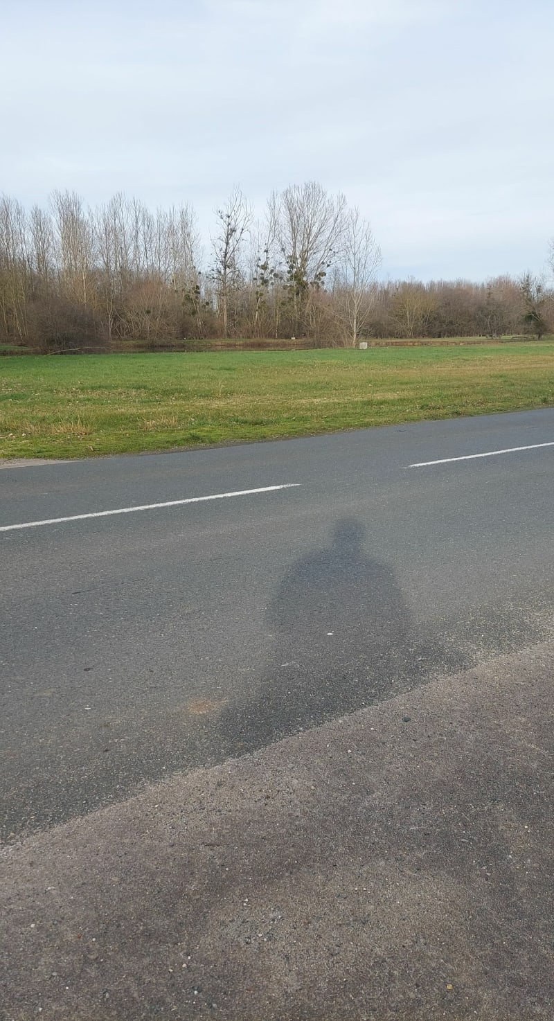 Balade sympa pour petits et grands à Nihèrne - Niherne
