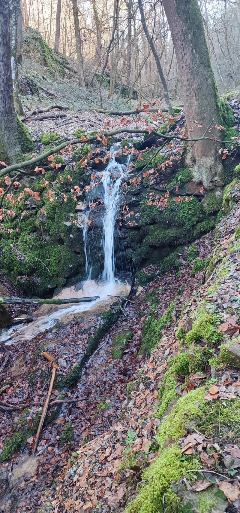 Balade ensoleillée au dessus des Condamine - Saint-Étienne