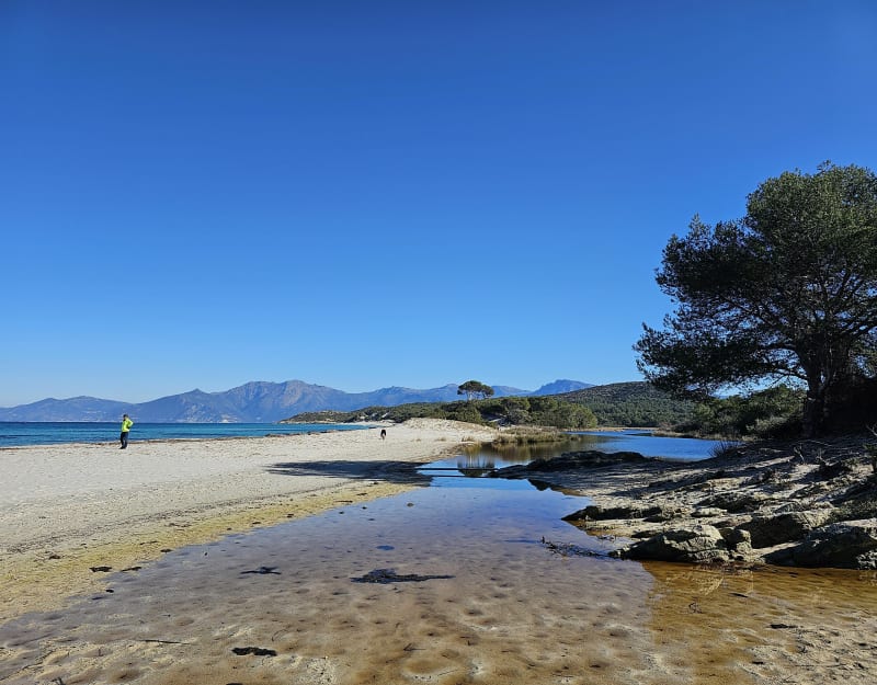 Plage de Saleccia, désert des Agriates - Santo-Pietro-di-Tenda