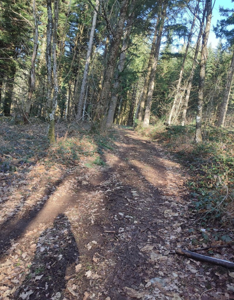 Marchez dans les pas du diable - Sarroux - Saint Julien