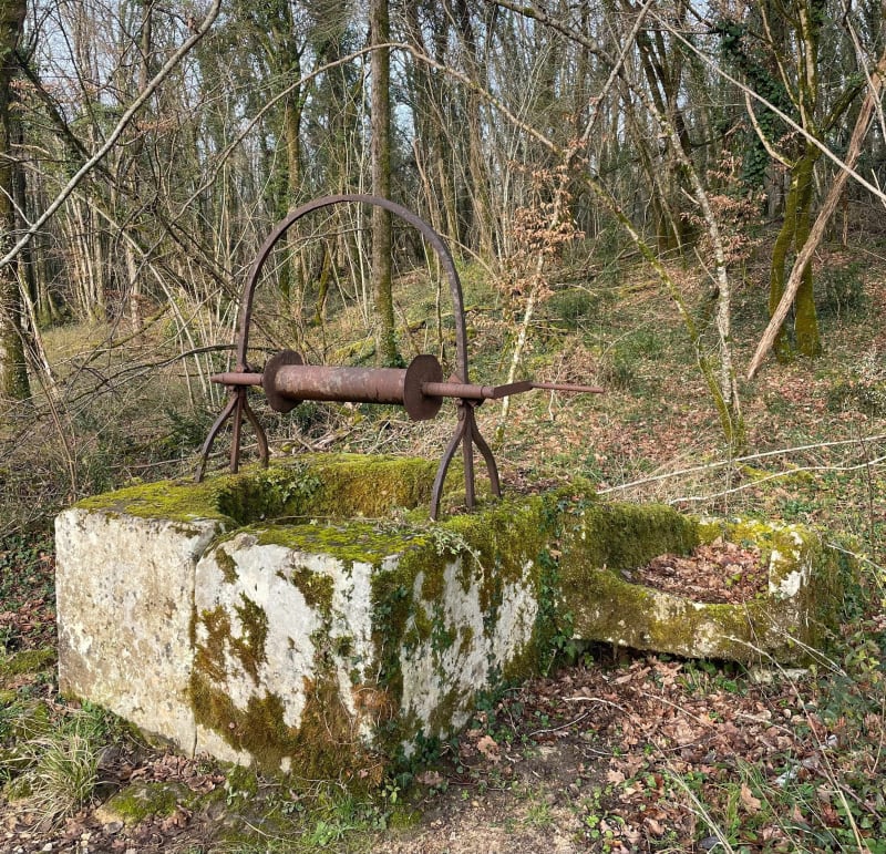 La Tournerie, le puits au milieu de la forêt - Bussac-sur-Charente