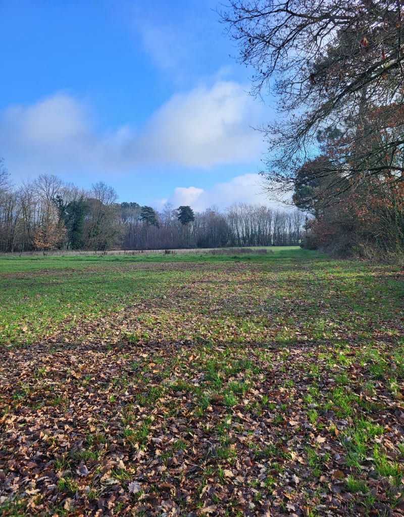 Le circuit deLeigné sur Usseau - Leigné-sur-Usseau