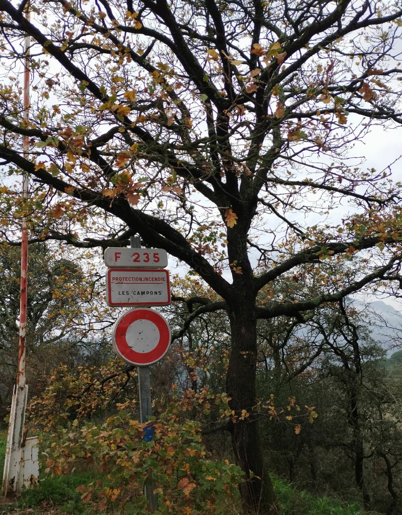 Les Campons à Roquebrune sur Argens - Roquebrune-sur-Argens