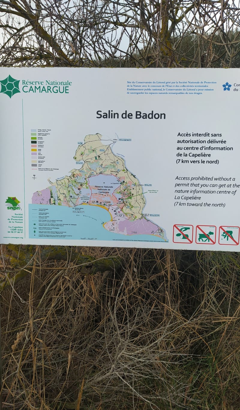 Petite balade en Camargue - Arles