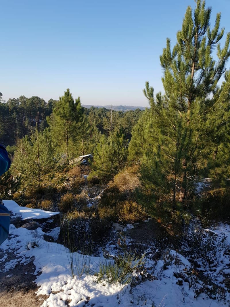 Rando au départ du parking de la Mée, dans les Bois des Hauts de Milly et de la Garenne - Le Vaudoué