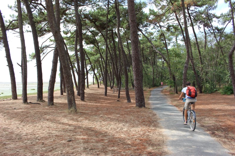 Sortie à La Palmyre par les Marais de Bréjat - Les Mathes