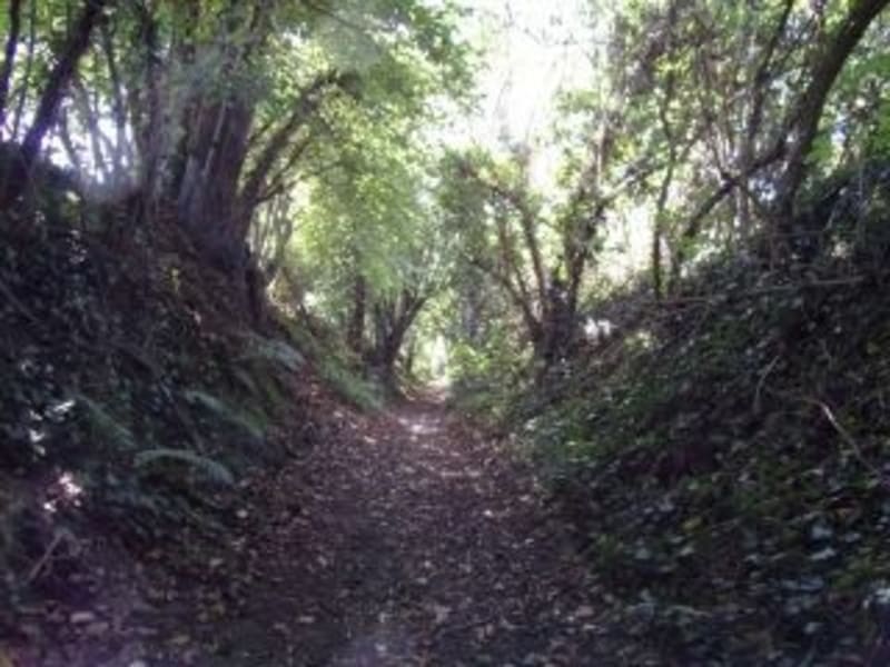 Rando VTT au départ de Lombron vers Beaufay - Lombron