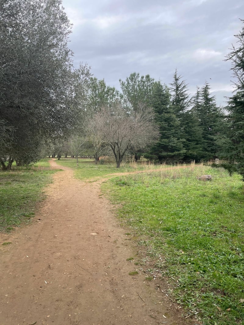 Vergèze et parc Perrier - Vergèze