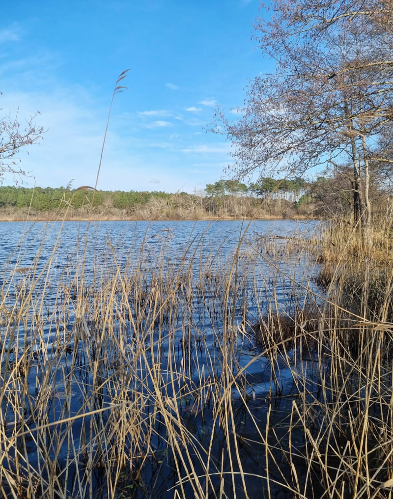 Etang de la courbe - Saint-Paul-lès-Dax