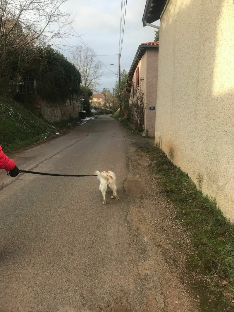 Promenade de Lény à Saint Haon le Chatel - Saint-Haon-le-Châtel