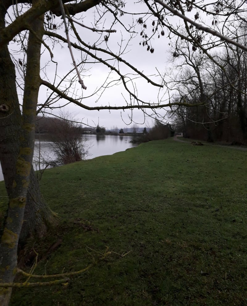 Étangs et rivieres à Trosly- Breuil - Trosly-Breuil